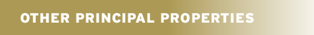 Other Principal Properties