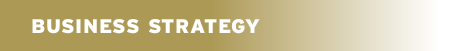 Business Strategy