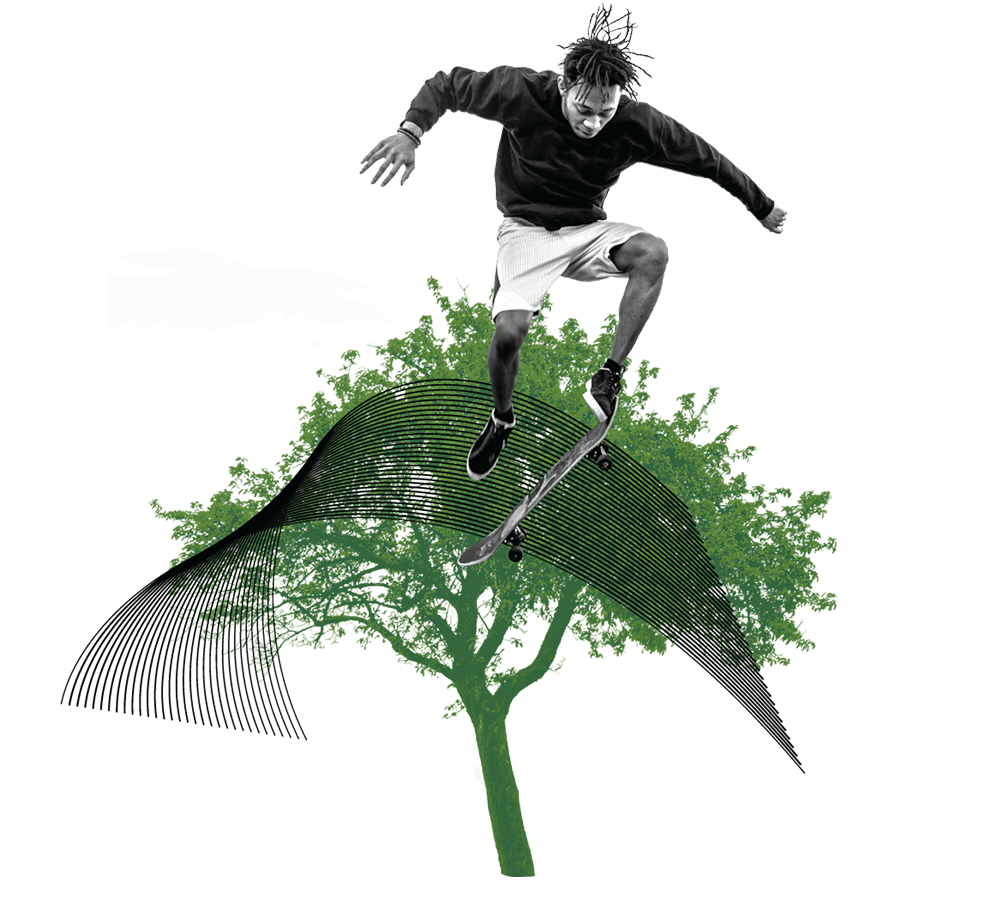 image of a skateboarder jumping in front of a tree